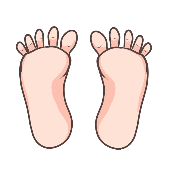 足のイラストの描き方のコツ3選 初心者向け 足の出っ張りも描く 見習いひきこもりのお絵かきブログ