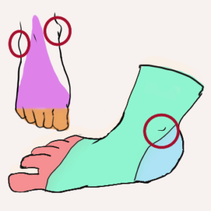 足のイラストの描き方のコツ3選 初心者向け 足の出っ張りも描く 見習いひきこもりのブログ
